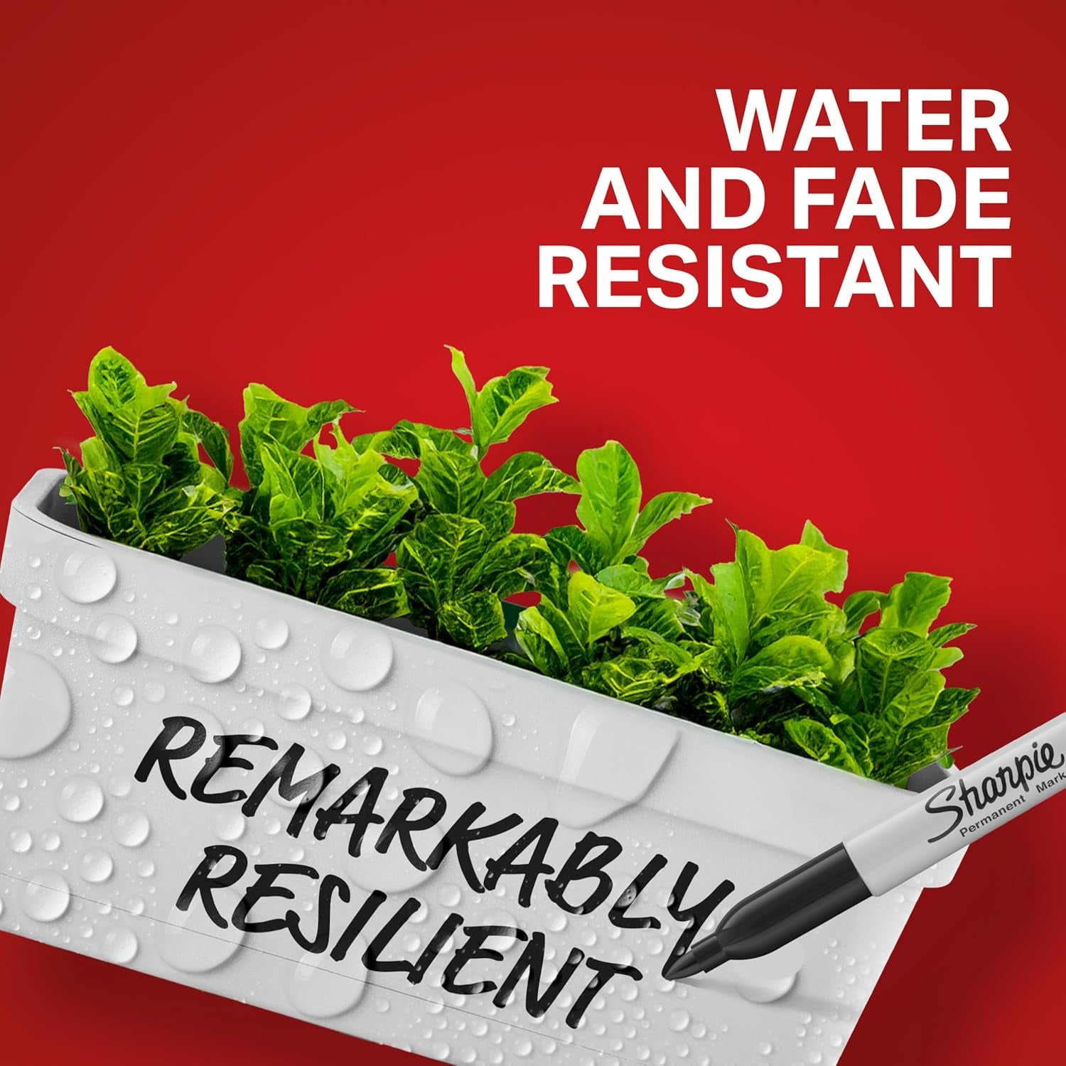 Permanent Markers Variety Pack, Featuring Ultra-Fine, Chisel Tip, and Fine Tip Marker Set, Writing and Poster Markers, Black, 6 Count